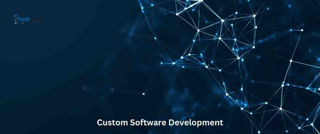 custom software development